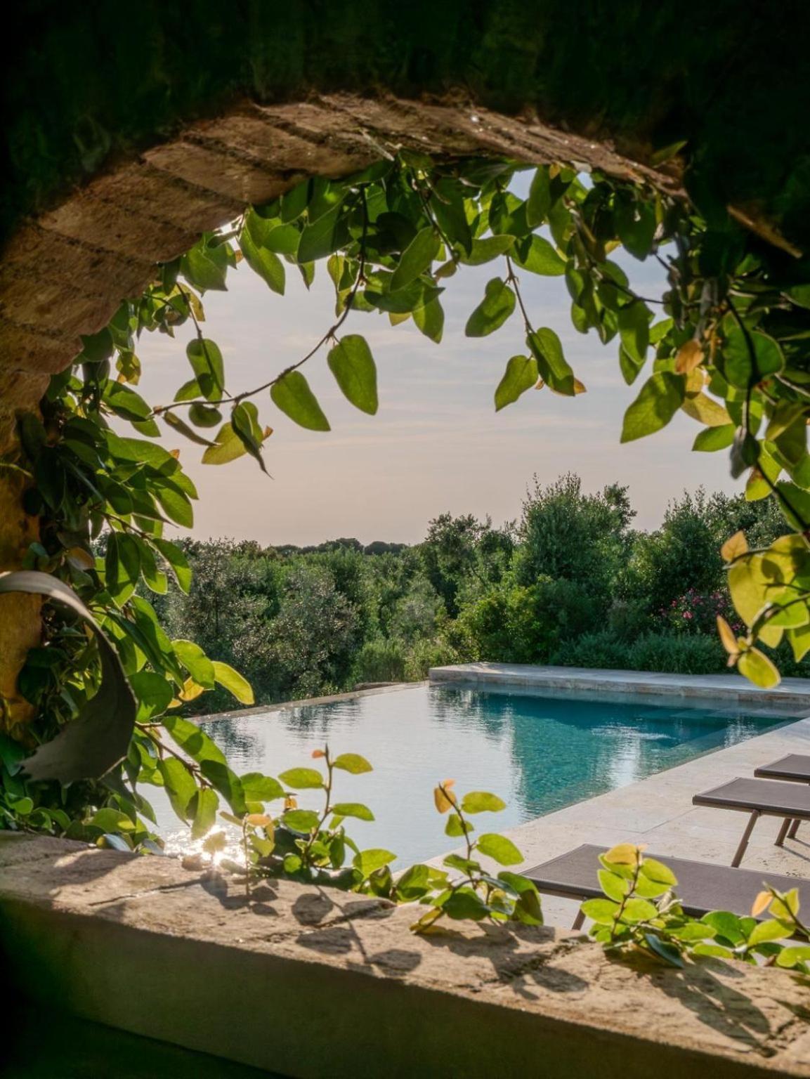 Podere le Mezzelune Bibbona Exterior foto